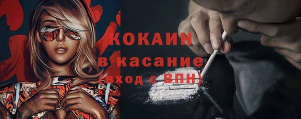apvp Богородицк