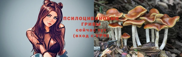 круглые Богородск