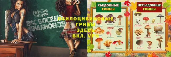 прущая мука Богданович