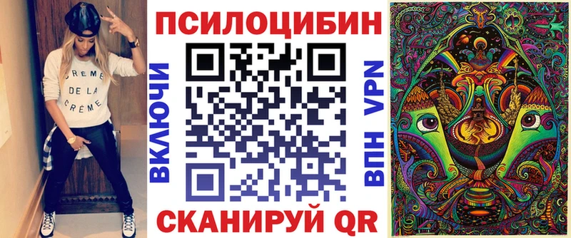 Псилоцибиновые грибы Cubensis  Павловск 